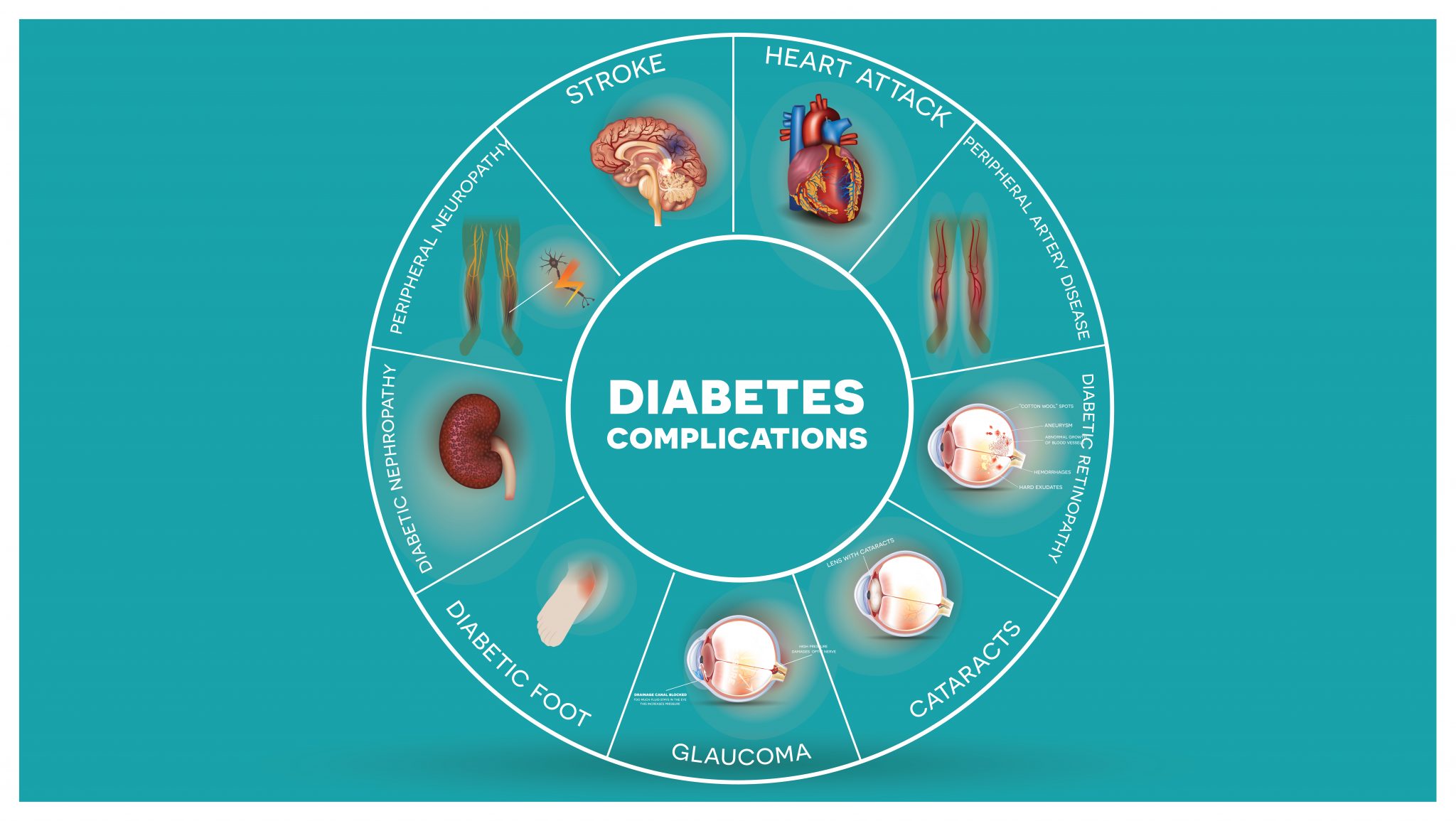 The Hba C Test Uses Target Levels And Procedure