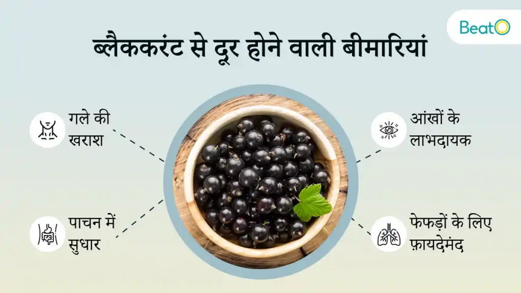 Benefits of Black Currant in Hindi