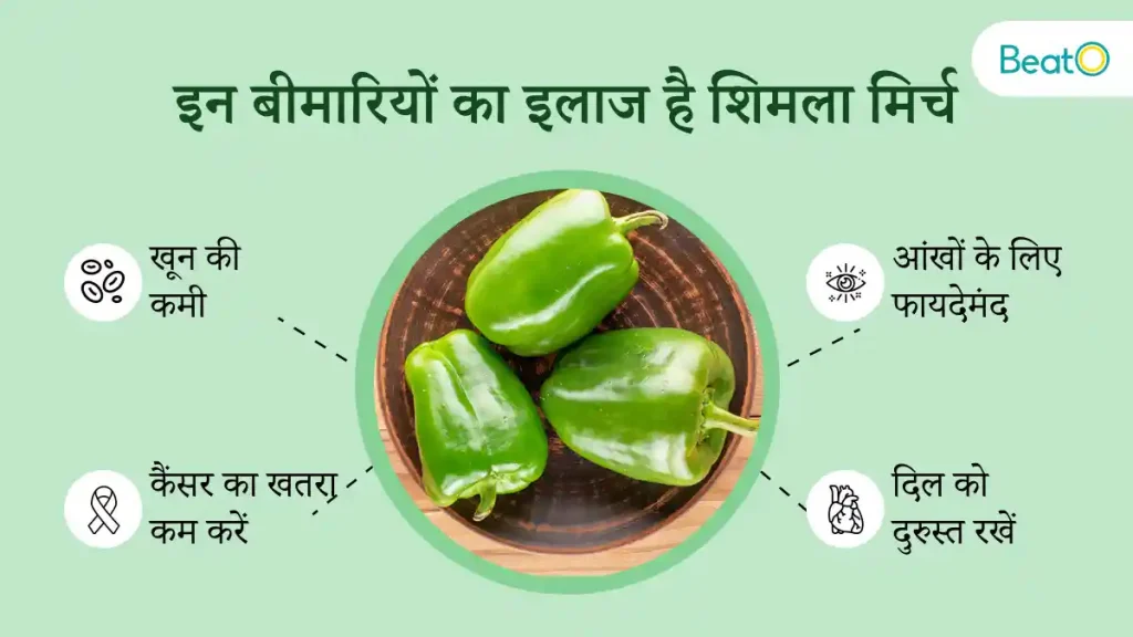 Benefits of Capsicum in Hindi